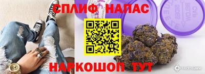 не бодяженный Будённовск