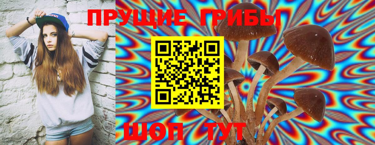 Галлюциногенные грибы Cubensis Серпухов